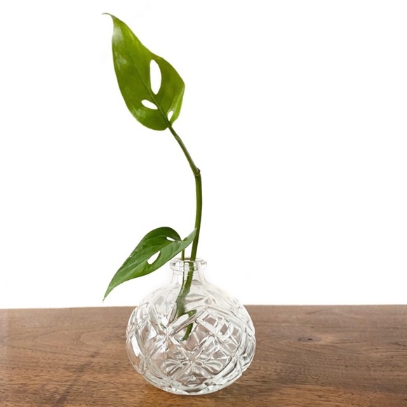 Other - •textured vase•